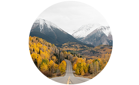 Procurement Software: Hassle-free Deployment