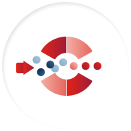 Spend Analysis | Data Optimization