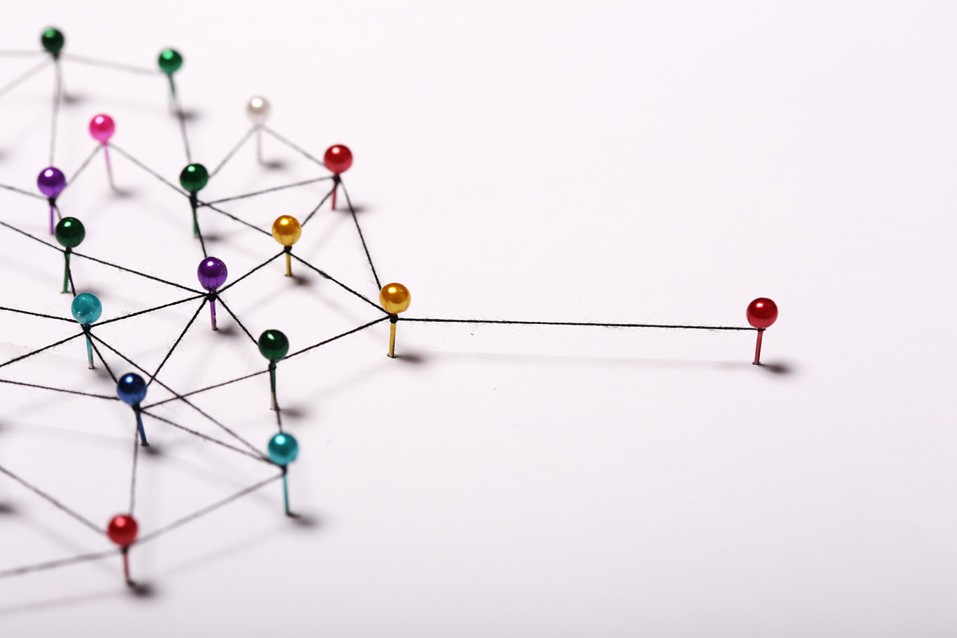 Procurement Performance Management