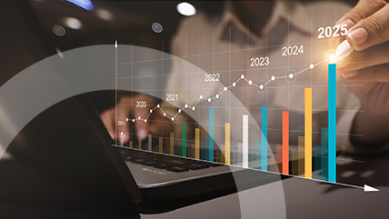 Consultancy or Software for Private Equity EBITDA Enhancement? 